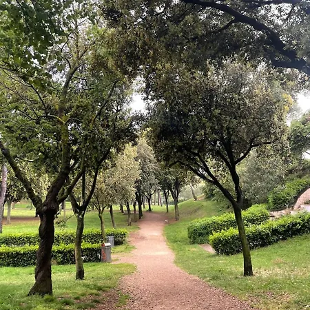 Attico Con Terrazza A Due Passi Dal Parco Roma